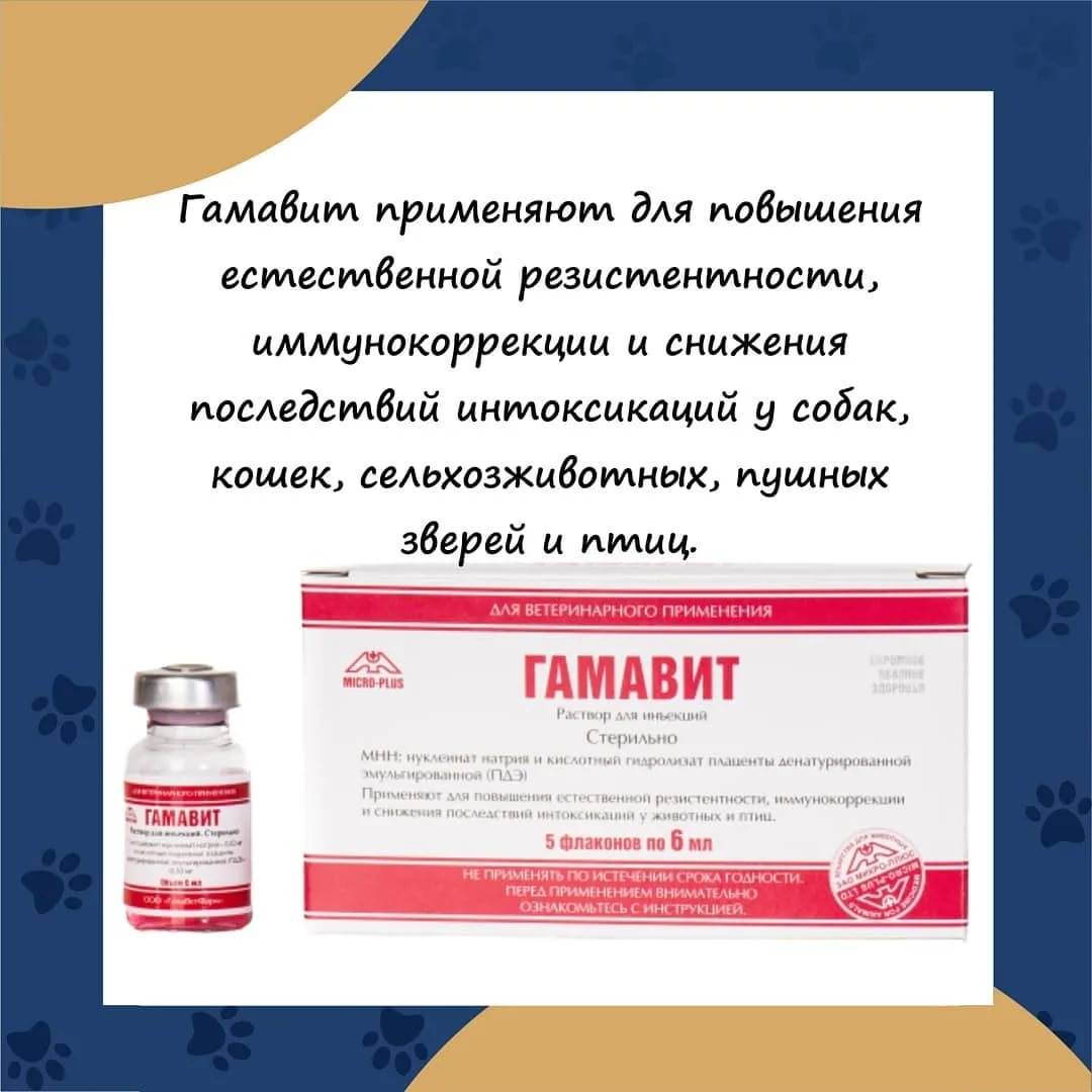 Гамавит для кошек – назначение, инструкция, отзывы