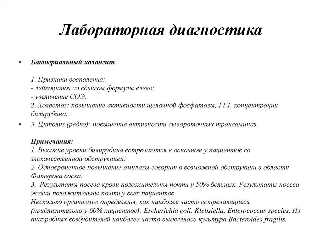 Холангит у кота
