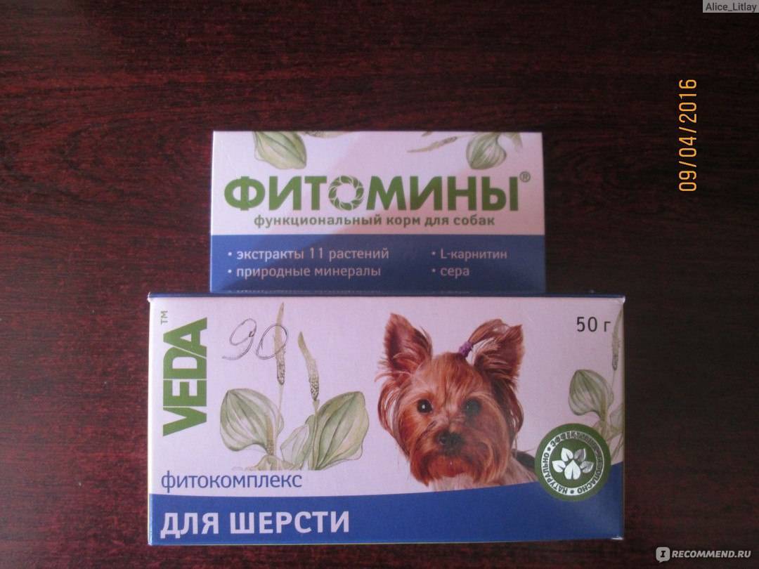 Выбери лучший кондиционер для своего питомца — топ 10 средств для шерсти собак и кошек от зарубежных и российских производителей: пчелодар, пек и другие бренды