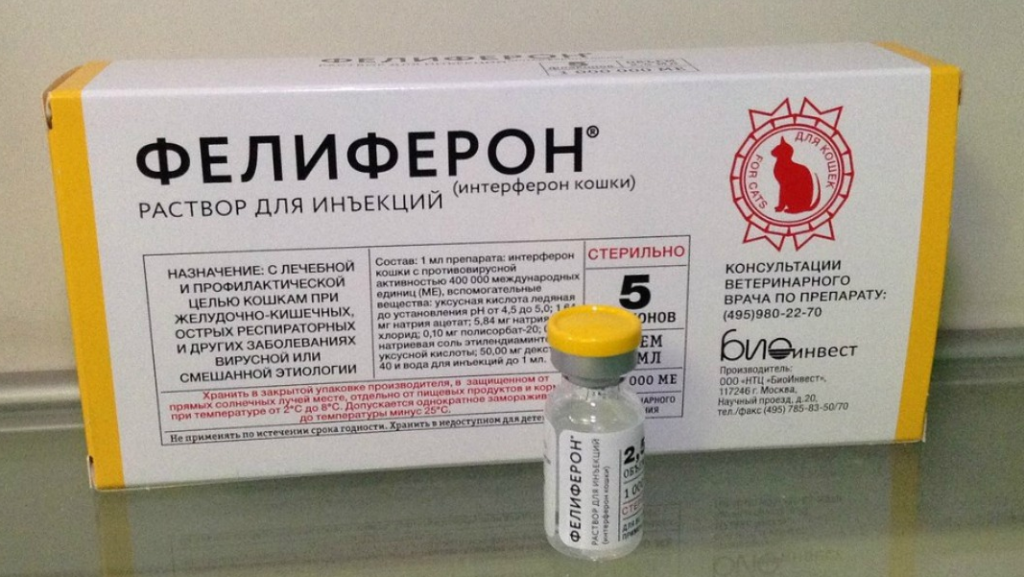 Фелиферон: лекарство от инфекционных заболеваний у котов