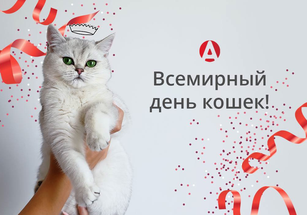 Всемирный день кошки и кота: какого числа отмечают в россии и в других странах - 1 марта или 8 августа, как проходит международный праздник
