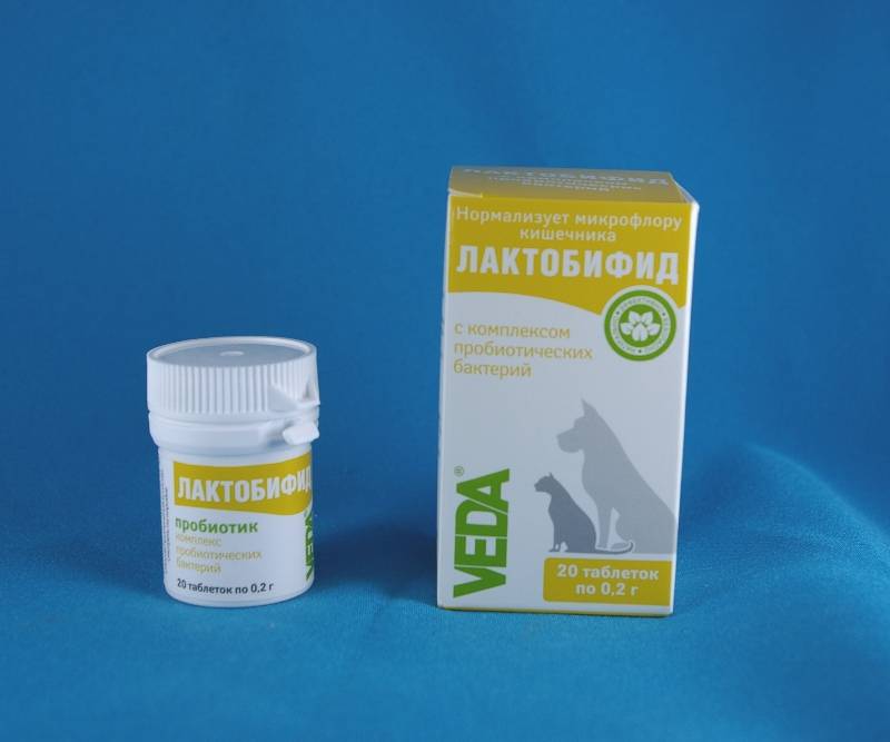 Лактобифид с комплексом пробиотиков для кошек и собак