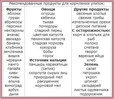 Вы что-то слышали о крысах? забудьте! часть 2