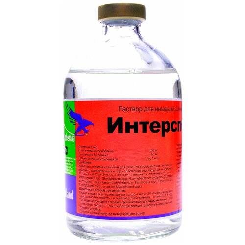Интерспектин-l для собак: инструкция по применению при опасных для жизни собаки инфекциях