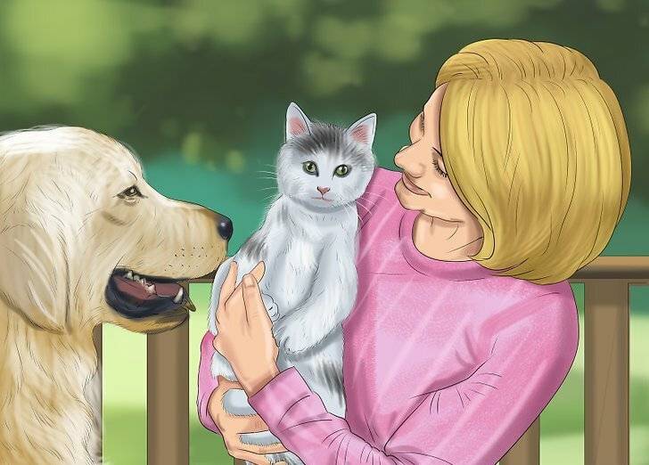 Вязка кошек: созревание, знакомство, спаривание, осложнения
