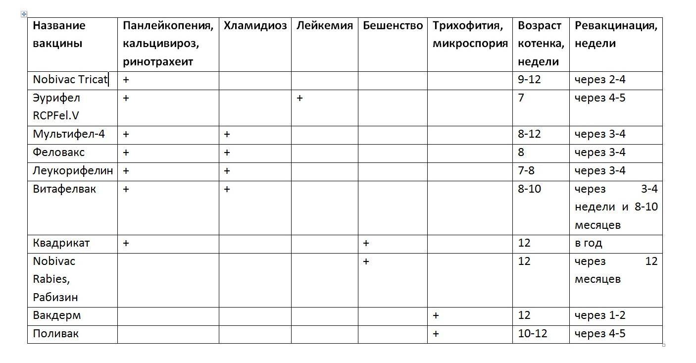 Прививки котятам от бешенства: какие и когда нужно делать первую и последующие?
