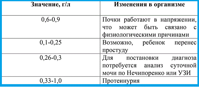 Белок в моче у кошек: причины и лечение