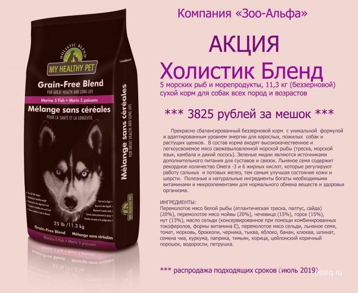 Рейтинг сухих кормов холистик класса для собак: now fresh, acana и другие