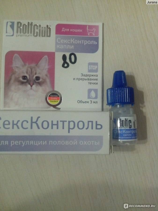 Как успокоить кошку во время течки, что давать чтобы помочь: капли, таблетки