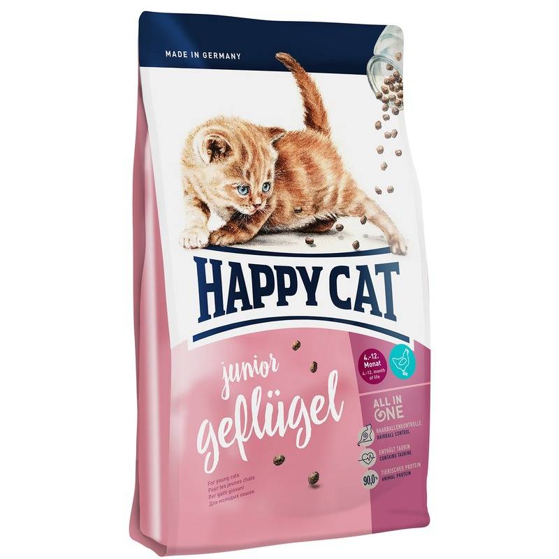 Happy cat