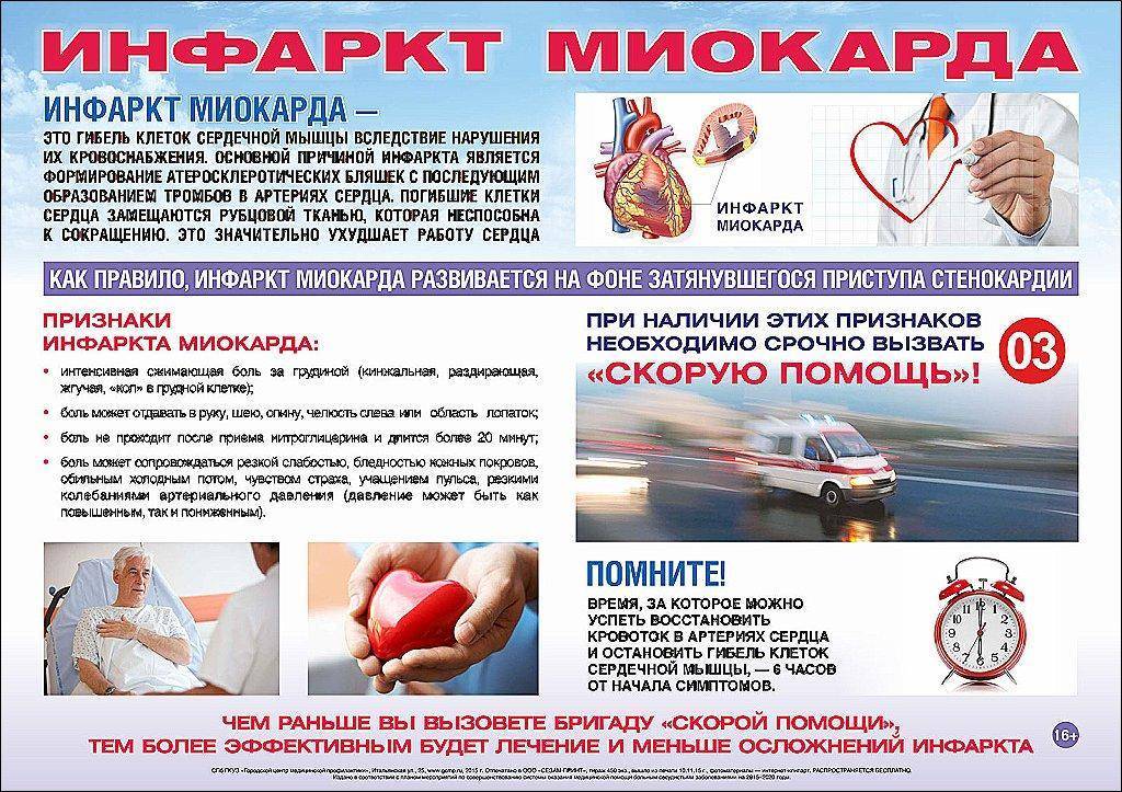 Инфаркт у кошек: проявление, лечение и профилактические меры