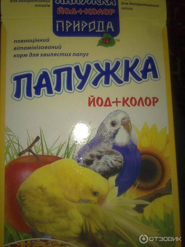 Как лечить попугая? учимся давать лекарства попугаю в клюв.