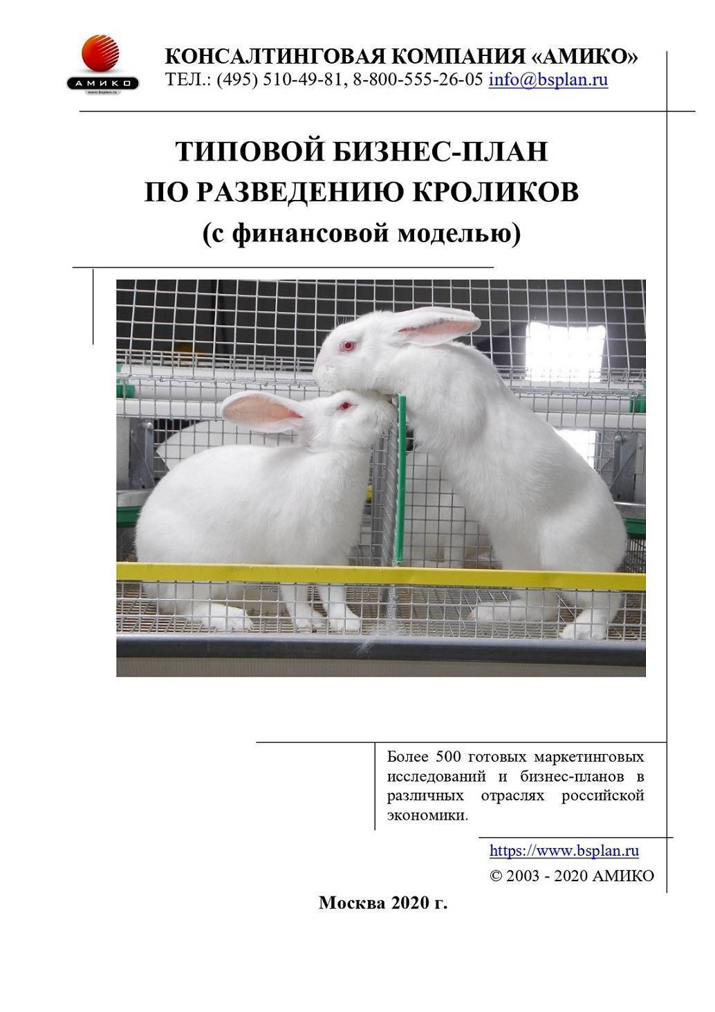Разведение кроликов как бизнес: выгодно или нет содержать кроличью ферму