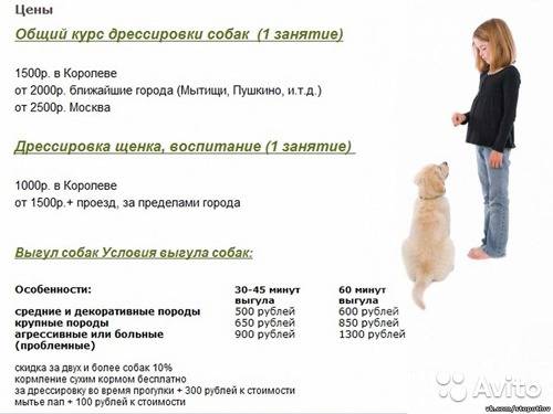 Календарь прививок для детей по возрасту