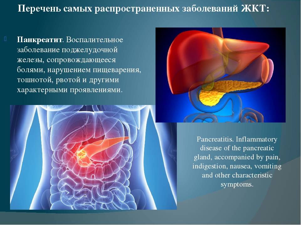 Острый гастрит и его основные симптомы у кошекветлечебница рос-вет