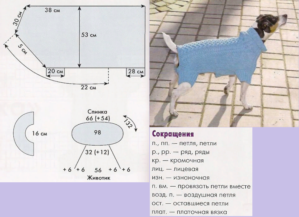 Схемы и мастер-классы по вязанию свитера для собак. как связать собаке свитер спицами, крючком: лучшие модели + советы для начинающих