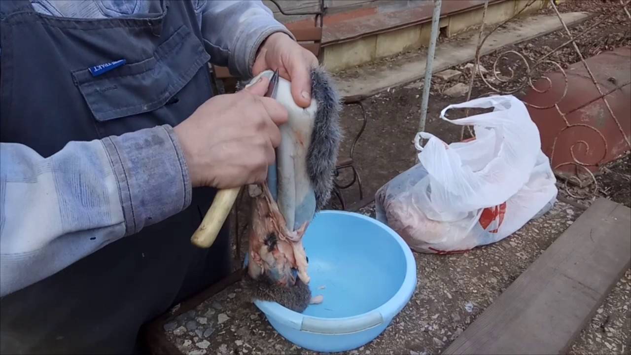 Выделка шкур кролика своими руками в домашних условиях: как правильно выделать и обработать