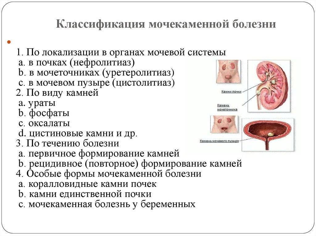 Мочекаменная болезнь у собаки: симптомы, причины, лечение