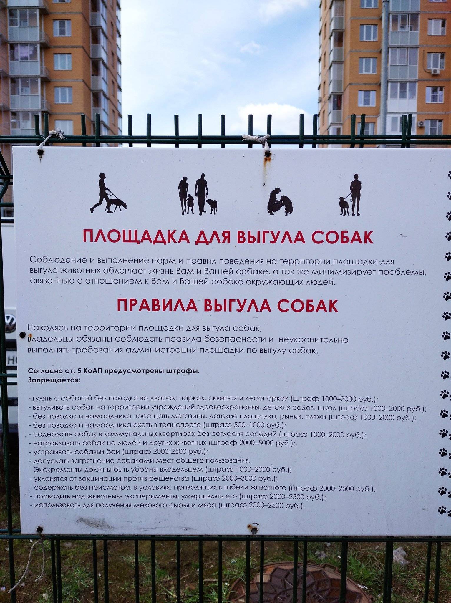 Площадки для выгула собак: нормативы, необходимое оборудование и проект