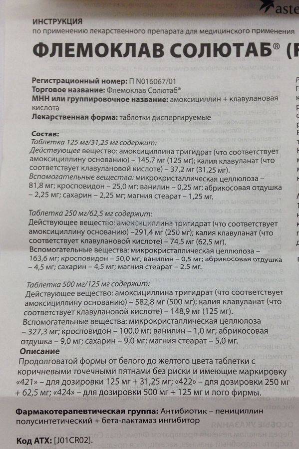 Амоксициллин для кошек: инструкция по применению раствора для уколов и таблеток, дозировка