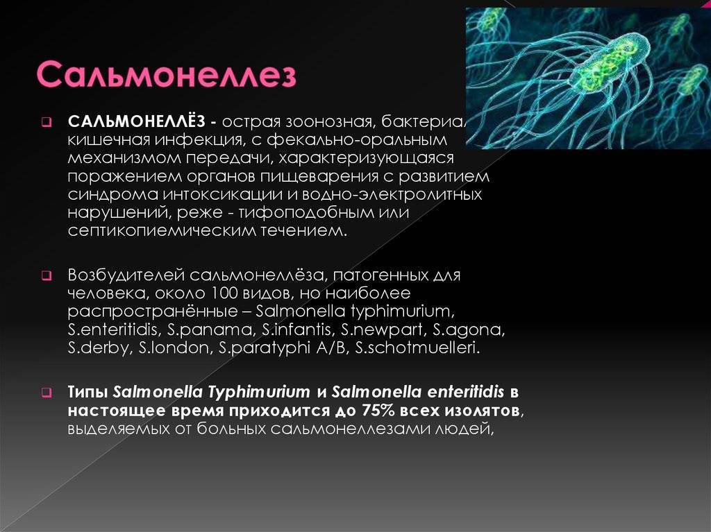 Вирусная инфекция сальмонеллез. Сальмонеллез. Сальмонеллез презентация. Презентация на тему сальмонеллез.