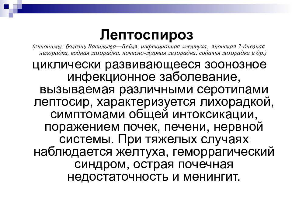 Лептоспироз у собак: причины и пути заражения, формы и лечение болезни, вакцинация.