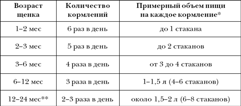 С какого возраста можно щенку. Сколько раз надо кормить щенка 3 месяца. Сколько в день кормить 2 месячного щенка. Сколько раз надо кормить щенка 2 месяца. Сколько раз в день нужно кормить собаку 5 месяцев.