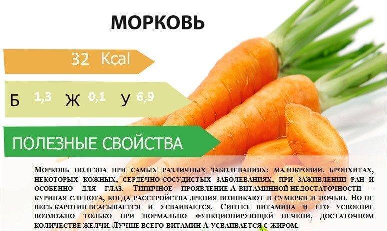 Прикорм в 6 месяцев, какие продукты вводить в прикорм ребенку с шести месяцев - agulife.ru