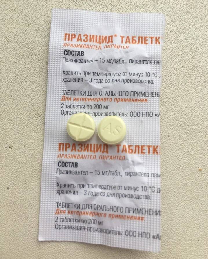 Саксенда – новый препарат для похудения. действие, показания, дозировка