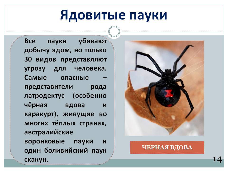 Лечение заболеваний печени