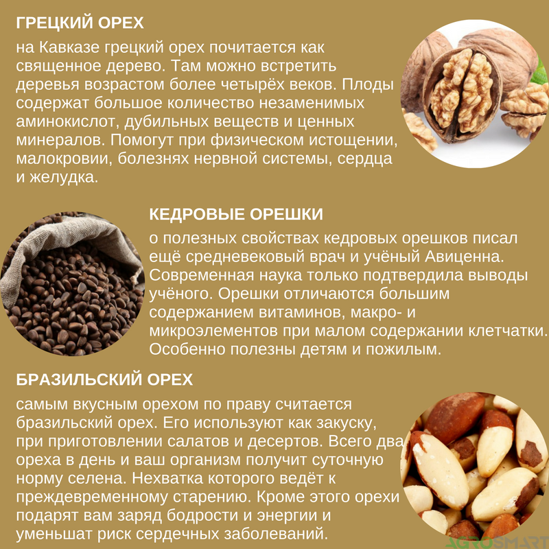 Об использовании орехов в рационе собак