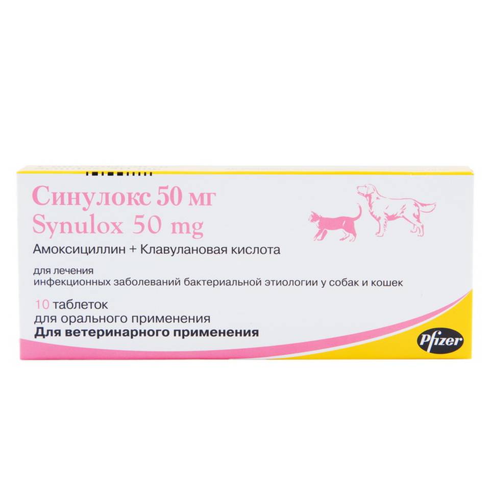 Синулокс для кошек (таблетки, суспензия): отзывы, цена, разбор состава и противопоказаний препарата