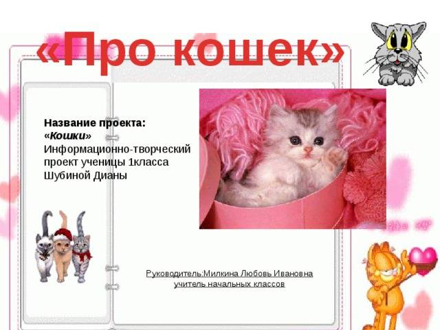 Как подружить в одной квартире взрослых кота и кошку