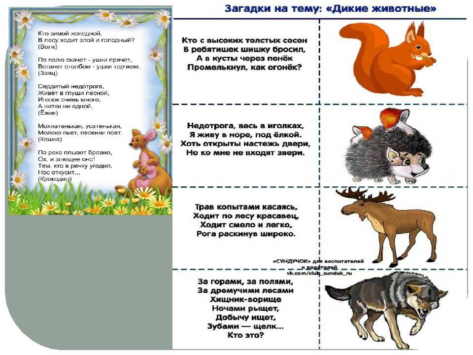 Короткие загадки для детей про животных. лёгкие загадки про животных для детей
