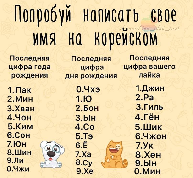 Клички для собак девочек: прикольные, красивые, смешные, немецкие, русские
клички для собак девочек: прикольные, красивые, смешные, немецкие, русские