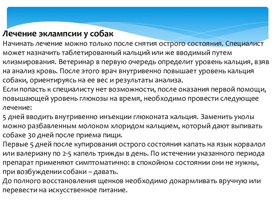 Преэклампсия и эклампсия беременных: симптомы, лечение