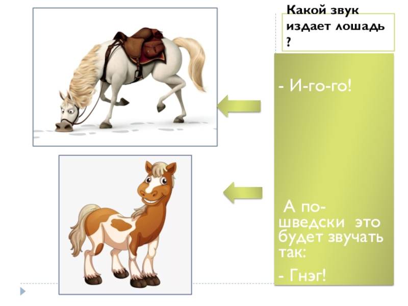 На какие звуки реагируют кролики