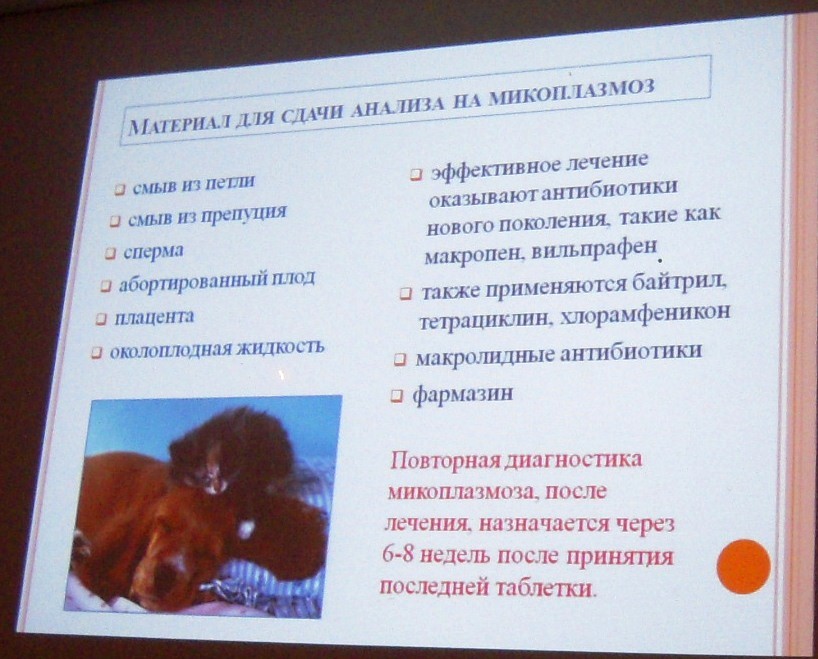 Уреаплазмоз, микоплазмоз. причины заражения, симптомы, лечение уреаплазмоза и микоплазмоза.