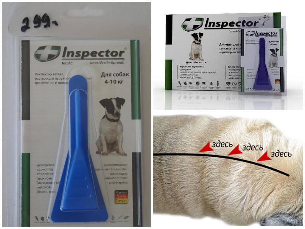❶ инспектор капли для собак: инструкция по применению, отзывы