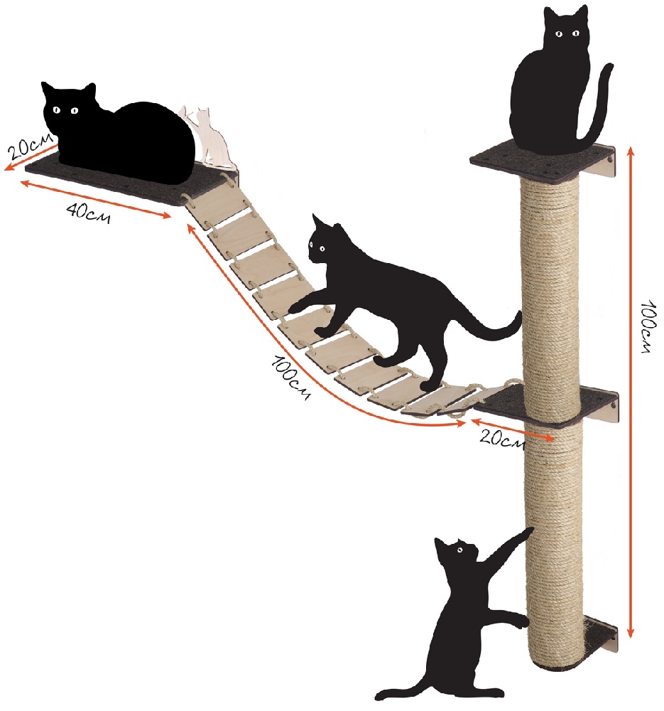 Лазалка своими руками или как сделать комплекс для кошки: чертежи кошачьей игровой мебели с лесенкой, площадкой и домиком из дерева