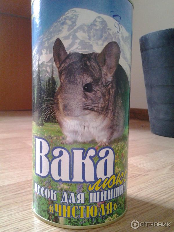Особенности купания шиншилл
