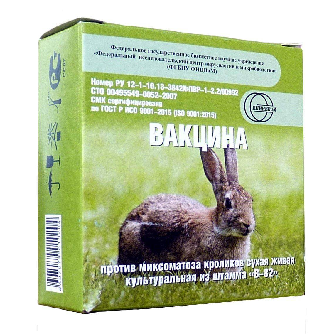 Прививка от клещевого энцефалита: схема вакцинации детям и взрослым