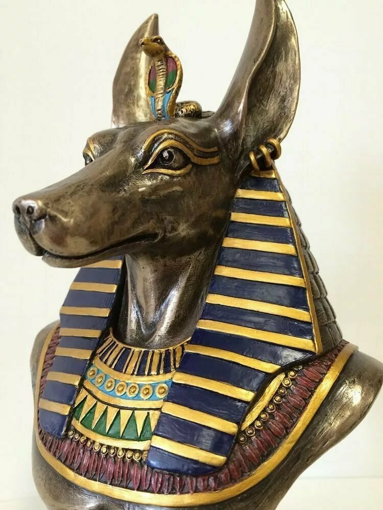 Египетский бог с головой собаки фото и названия