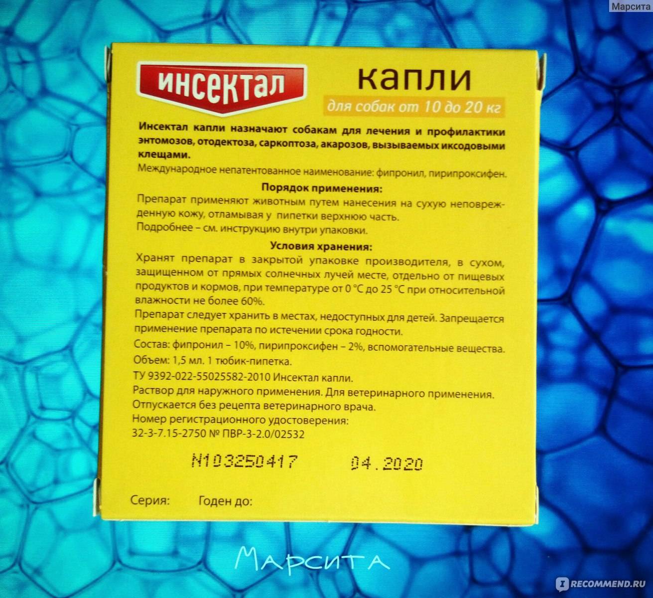 Рейтинг лучших капель от клещей для собак на 2023 год