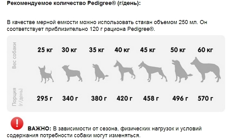 Чем кормить алабая: взрослую собаку и щенка, примерный рацион