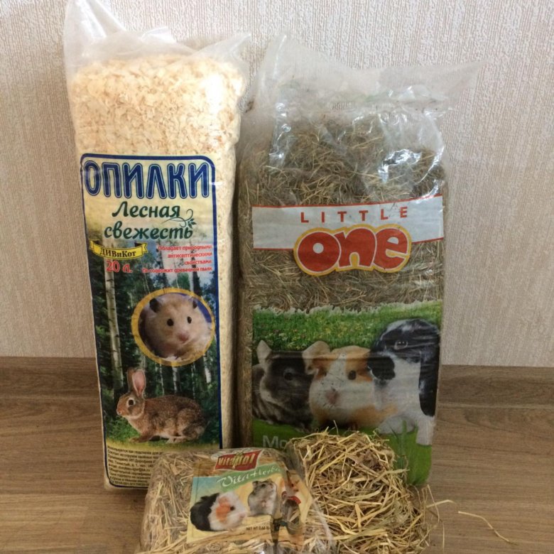 Какой наполнитель выбрать для клетки хомяка? | животные | школажизни.ру