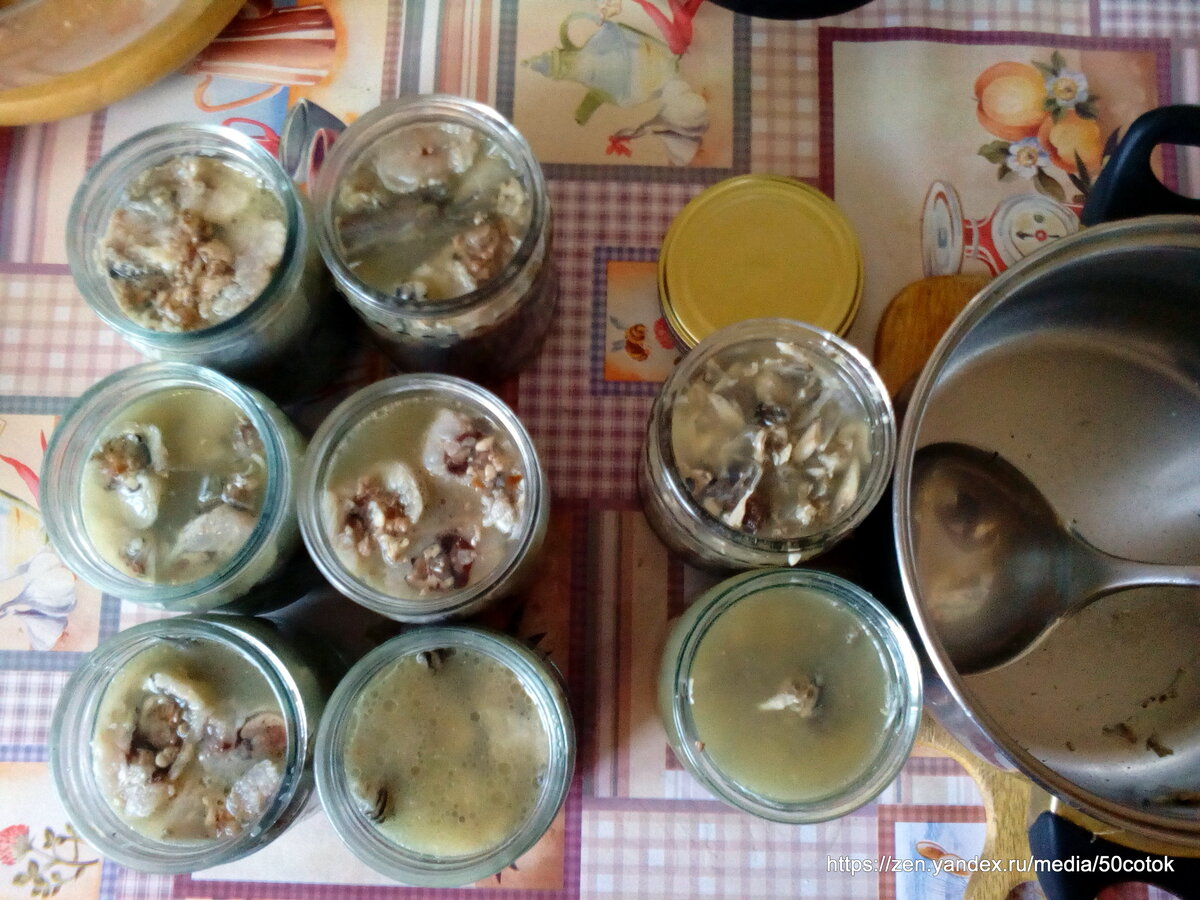 Можно ли кошкам рыбу: виды рыбы, какую можно и нельзя, как давать кошкам рыбу