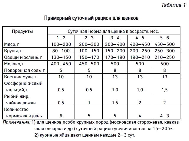Можно ли давать собакам кости? какие кости можно давать щенку?