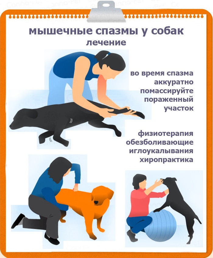 Мышечные судороги - лечение, симптомы, причины, диагностика | центр дикуля