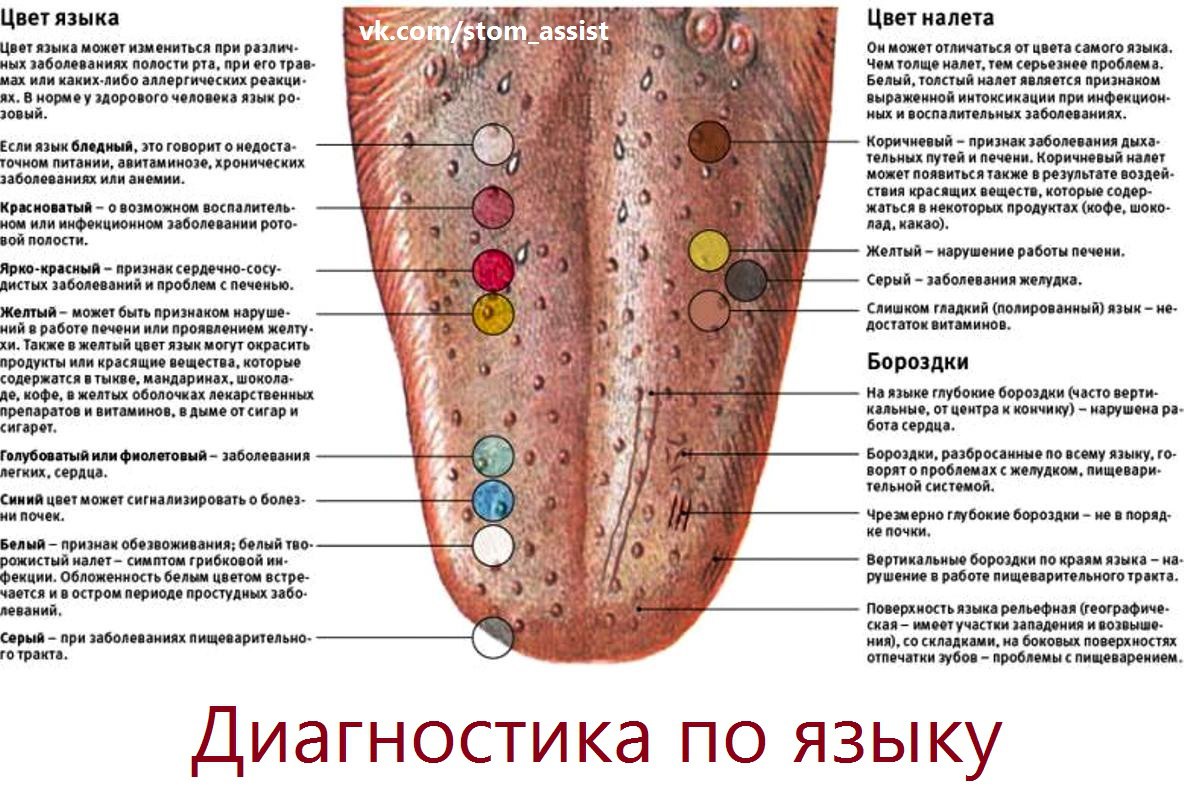 Черный язык у кошки: причины, симптоматика, возможные болезни